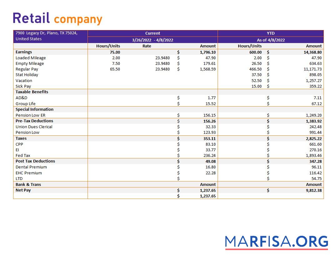 Realistic Retail company earning statement download for verification